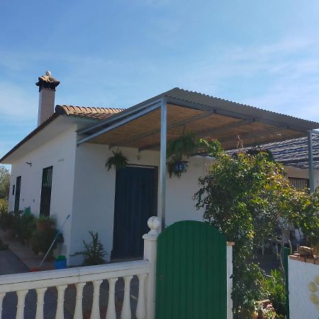 Alojamiento Rural La Perdiz La Puebla de los Infantes Extérieur photo